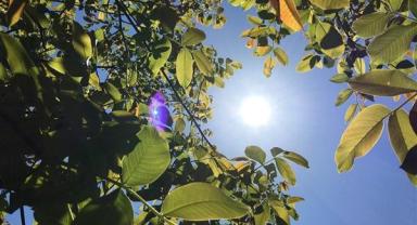 Hava sıcaklığı perşembe gününden itibaren batı bölgelerden başlayarak azalacak