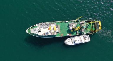 İzmit Körfezi'ndeki dip çamuru temizliği biyoçeşitliliği artıracak