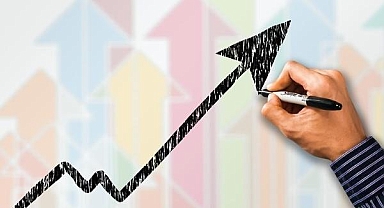 Mali aracı kuruluş istatistikleri, 2022