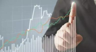 OVP'de büyüme tahminleri düştü, enflasyon tahminleri yükseldi