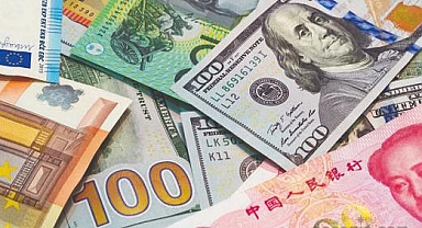 Reel efektif döviz kuru endeksi ağustosta 52,50'ye yükseldi