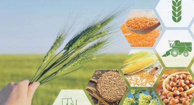 Tarımsal üretimde arabuluculuk dönemi