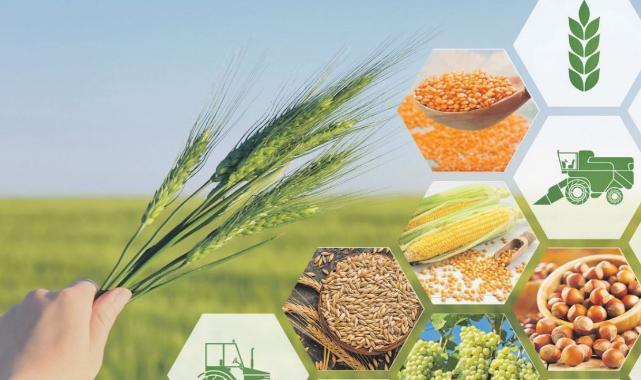 Tarımsal üretimde arabuluculuk dönemi