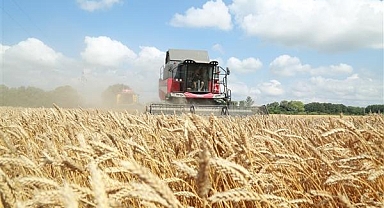 TİGEM işletmeleri hububat hasadında rekor kırdı