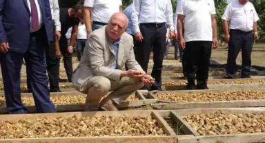 Türkiye Ziraat Odalar Birliği Başkanı Bayraktar Aydın'da incir hasadına katıldı