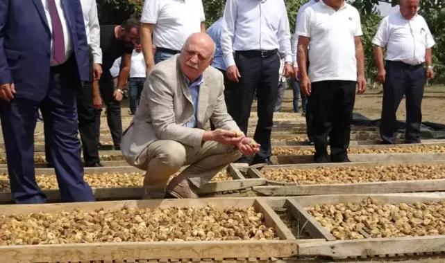 Türkiye Ziraat Odalar Birliği Başkanı Bayraktar Aydın'da incir hasadına katıldı
