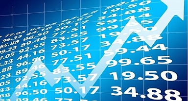 Uluslararası yatırımcı işlemleri