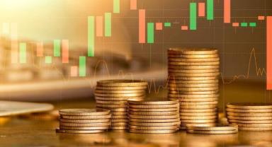 Yatırımcı rehberi (2)