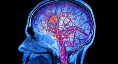 Yeni teknolojiler beyin hastalıklarının teşhis ve tedavisini iyileştirecek