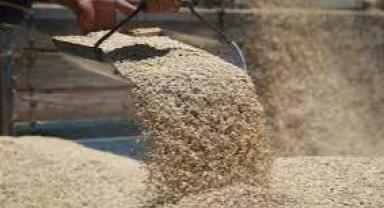 Yozgat'ta TMO'ya 800 bin ton arpa ve buğday teslim edildi