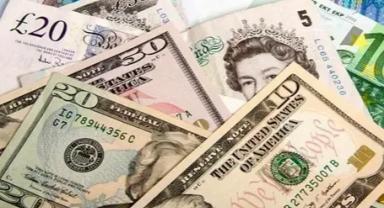 Yurt içi yerleşiklerin döviz mevduat hareketleri