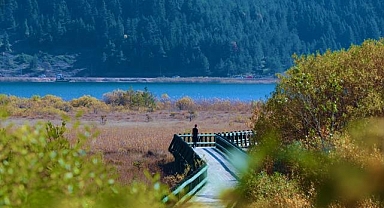 Abant'ta sonbahar renkleri hakim oldu