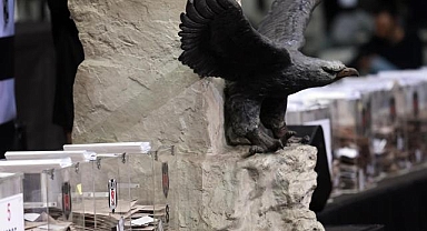 Beşiktaş'ta olağanüstü seçimli genel kurula doğru