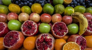 Bitkisel üretimin bu yıl geçen yıla göre artacağı tahmin edildi