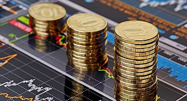 Bu hafta yatırım araçları performansı