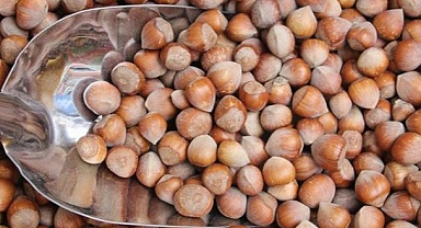 FİSKOBİRLİK'ten üreticilere toprak analizi çağırısı