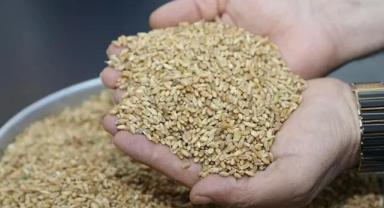 Gaziantep Ticaret Borsası