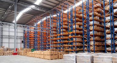 Genç ve Nitelikli İş Gücü Potansiyeli Lojistiğe Yönlendirilmeli