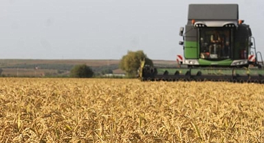 İklim değişikliği tarımda hasat tarihini erkene çekebilir