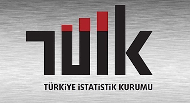 İş gücü istatistikleri (1)
