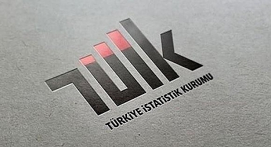 İş gücü istatistikleri (2)