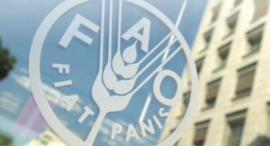 Küresel gıda fiyatları eylülde değişmedi