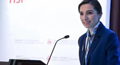 Merkez Bankası Başkanı Erkan, TBMM Plan ve Bütçe Komisyonunda sunum yaptı: (1)