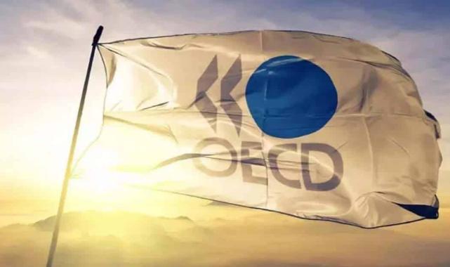 OECD: Metropol ve kırsal arasında gelir eşitsizliği büyüyor