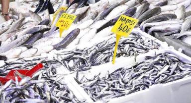 Samsun'da hamsinin kilogram fiyatı 40 liraya kadar geriledi