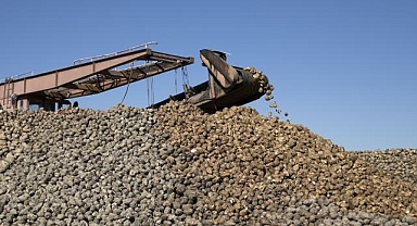 Şeker üretimi ülke ihtiyacını karşılayacak seviyede