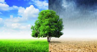 Sıfır Atık Hareketi sürdürülebilir kentler için örnek oluyor