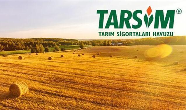 TARSİM, Arnavutluk'ta