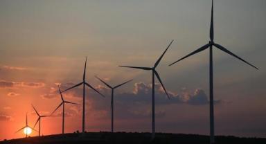 TÜREB Başkanı Erden: 