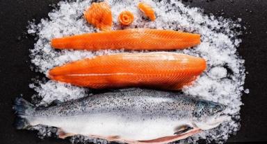 Türk somonunun 9 aylık ihracatında Rusya başı çekti