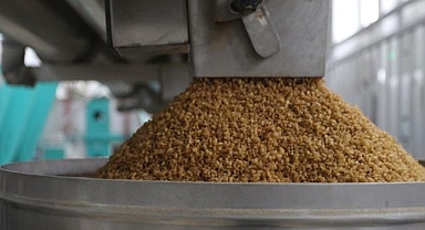 Türkiye gıda ihracatçıları dünyaya bulguru tanıtacak