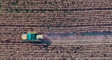Çiftçilere yaklaşık 169 milyon liralık tarımsal destekleme ödemesi bugün yapılacak