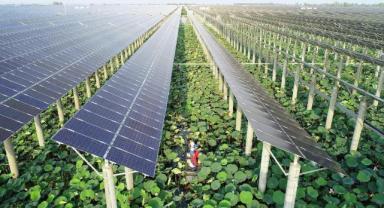 Çin’de yeni kurulan güneş santralleri, ABD’nin iki katına ulaşacak