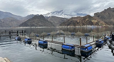 Erzurum'daki tesiste devlet desteğiyle üretilen 360 ton balığın çoğu ihraç ediliyor