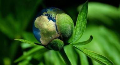 Farklı ülkelerden 70 binden fazla delegenin katılacağı BM İklim Zirvesi Dubai'de başlıyor