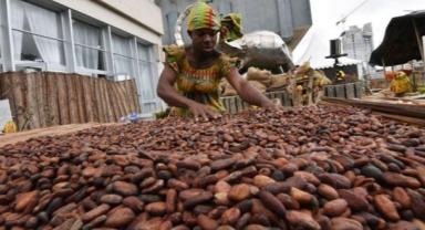 Kakao fiyatları 45 yılın zirvesinde