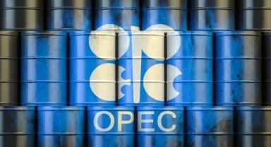 OPEC'in petrol üretimi ekimde günlük 80 bin varil arttı