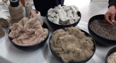 Samsun’da kenevir işleyecek fabrika tanıtıldı