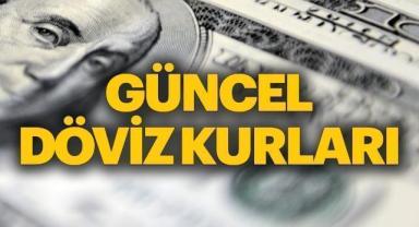 Serbest piyasada döviz açılış fiyatları