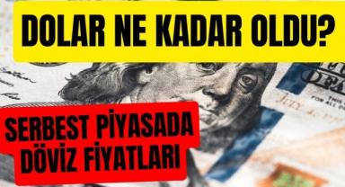 Serbest piyasada döviz açılış fiyatları