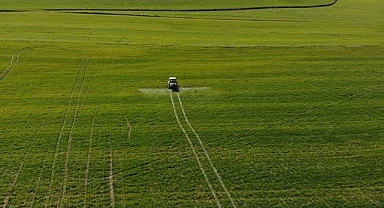 Tarım ÜFE ekimde aylık yüzde 1,13 azalırken yıllık yüzde 62,56 arttı