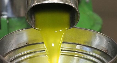 TARİŞ Zeytin ve Zeytinyağı Birliği Başkanı Sürek'ten zeytinyağı fiyatlarına ilişkin açıklama: