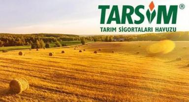 TARSİM heyeti Şanlıurfa’da ziyaretlerde bulundu