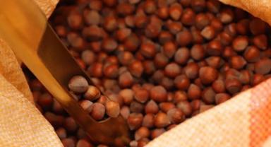 Türkiye'den iki ayda 358 milyon dolarlık fındık ihracatı gerçekleştirildi