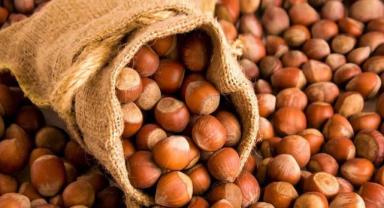 Türkiye'nin 10 aylık fındık ihracatının yüzde 31'i Trabzon'dan