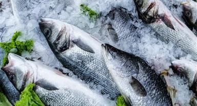 Türkiye’nin 10 aylık su ürünleri ihracatı 1 milyar 404 milyon dolar oldu